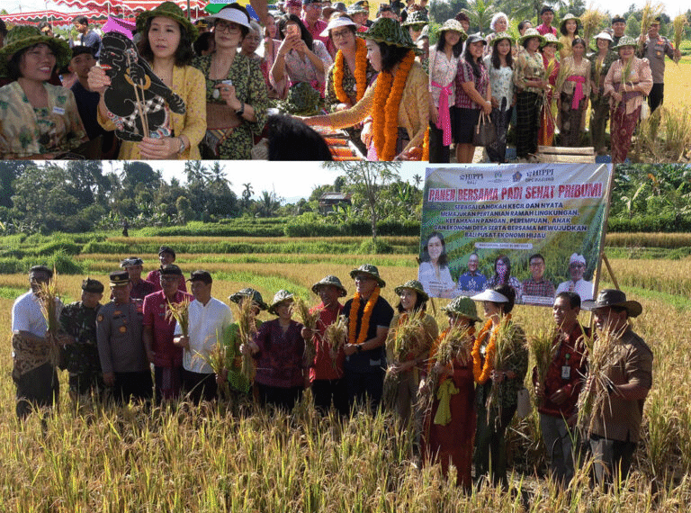 Panen Padi Sehat Pribumi di Nagasepaha dihadiri…