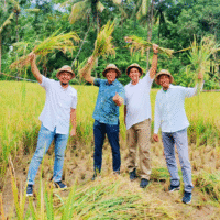 PESTA PANGAN